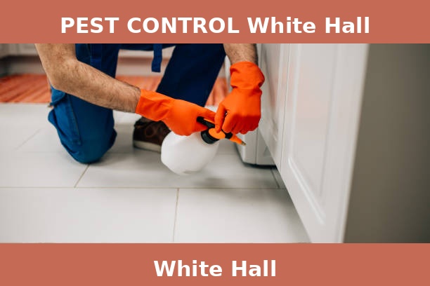 PEST CONTROL White Hall